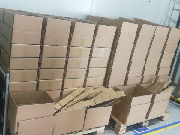 紙箱和中空板